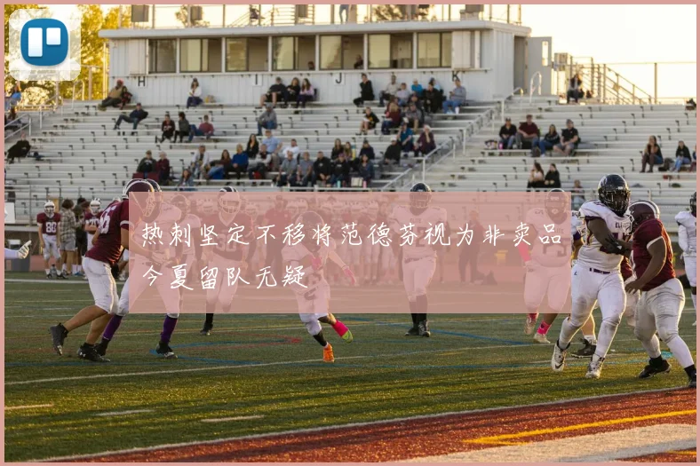 热刺坚定不移将范德芬视为非卖品今夏留队无疑